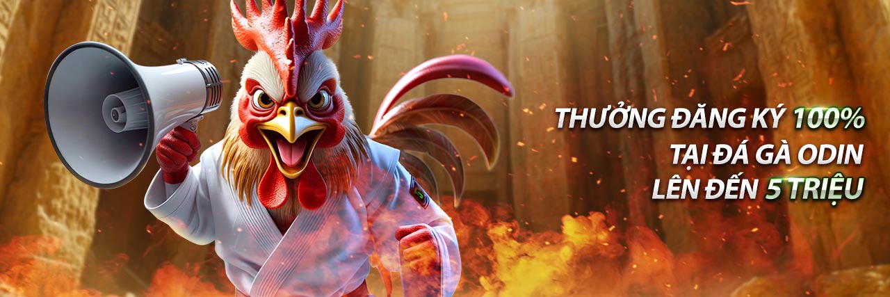 Banner chào mừng MB66 chính thức 2025